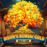 Bonsai Gold Hold And Win
